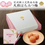 梅干し 母の日ギフト はちみつ梅 大粒 220g 花以外 食品 香典返し 誕生日 お祝い お返し