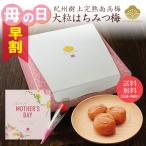 父の日 ギフト 梅干し 2024 はちみつ梅 大粒 400g 食品 食べ物 蜂蜜 50代 60代 70代 高級