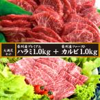 母の日 肉 ハラミ カルビ 牛肉 焼肉 バーベキュー BBQ 豪州産 穀物牛 ギフト プレゼント 贈答 大容量 大満足 ハラミ・カルビ セット 合計2.0kg