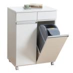 キッチンワゴン ゴミ箱収納 キャスター付きカウンターワゴン ホワイト ダストボックス2D