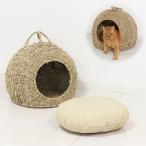 大切な家族に贈り物をキャットちぐら...