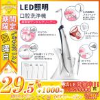 口腔洗浄機 USB充電式 LEDライト 5つ替えブラシ【歯茎ブラシ/クリーンブラシ/ポリッシュブラシ】歯茎ケアー 歯間 歯垢洗浄 口臭防止 汚れ除去 クリーニング