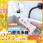 口腔洗浄機 口腔洗浄器 ジェットウォッシャー 歯間ジェット 洗浄 5階段水圧調節 替えノズル6本 300ml USB充電式 電池残量表示 IPX7防水 歯垢洗浄 口臭防止
