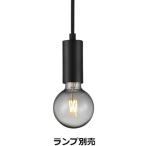 遠藤照明 ペンダント ランプ別売 無