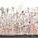 Yahoo! Yahoo!ショッピング(ヤフー ショッピング)11月 / 1集＋2集 （2CD / GOLD CD限定版）［All That Masterpiece Series］｜韓国 K-POP CD｜DLCC0311