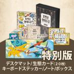 ( Корея литература )( дополнительный подарок специальный версия ) Pokemon сырой . иллюстрированная книга ( сырой . иллюстрированная книга карта + настольный коврик + клавиатура стикер + Pokemon обнаружение Note + box )l корейский язык l