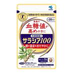 小林製薬　サラシア100 約20日分 60粒