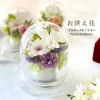 ショッピングカーネーション お供え花 プリザーブドフラワー  仏花  訃報  喪中 法要 新盆 お盆 法事 お彼岸 お悔やみ  仏壇 ドーム型 カバー付き コンパクト デンファレ蘭 上品
