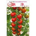 水耕栽培 ミニトマト ネネの種12粒入り  水耕栽培キット 部品 たね タネ