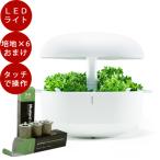 水耕栽培 Plantui 6 プラントゥイ6  LED 水耕栽培キット LEDライト 肥料 観葉植物 スポンジ 球根 野菜 栽培用ライト