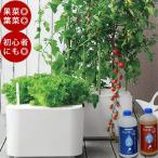 水耕栽培 ホームハイポニカ MASUCO  マスコ 水耕栽培キット 野菜 花 イチゴ肥料 スポンジ トマト