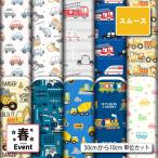  гладкий трикотаж ткань транспортное средство автомобиль рисунок входить . входить . модный мужчина коммерческий использование возможность рукоделие (spring_11)