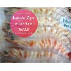 * быстрое решение специальная цена креветка!! супер-скидка o- -тактный иметь голова море .16/20 блок средний 