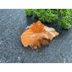 *. sashimi OK. вытащенный форель fire свежесть выдающийся * тщательно отобранный товар 