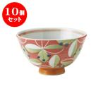 10�Z�b�g �����q �a�H�� / �t�b�s�[�i�ԁj �Ð��t�j���^���q ���@:���a11 X 6.5cm ���{�� ���Y