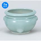 5�ĥ��å�ʩ���� �ļ���ϧ6.0 �� 18.8 x 10.5cm �� �� ���� ����� ���� ���� ���� ʩ�� �Ƕ� ��