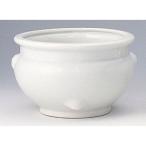 香炉 白 6寸 [6寸]