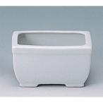 ��ϧ �ѹ�ϧ �� 4�� [4��]