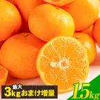 愛媛 ポンカン 訳あり ぽんかん 1.5kg 完熟 送料無料 おまけ 産地直送 果物 フルーツ  3-7営業日以内に出荷 土日祝除く