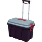 IRIS 538497 RV650C RV Carry 650 серый / темно-зеленый 