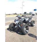 新車 ATV バギーカスタム　14インチ新車　