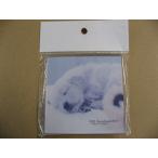 【色褪色】キング アクリルフレーム スクエア 9x9 ACRYLIC FRAME 9x9 パネル 額縁 写真整理用品 アルバム