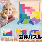 知育玩具 立体パズル 問題集 40問 脳トレ パズル テトリス ブロック ゲーム 遊び ゲーム