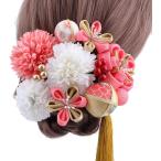 3色展開髪飾り 成人式 ドライフラワー 13点セット(ピンク)バーゲン