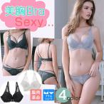 ブラジャーショーツセット セクシー ベビードール 花柄刺繍 下着女性 レース 誘惑インナー 2点セット