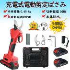  электрический ножницы для обрезки электрический зажим электрический ножницы беспроводной заряжающийся 30mm садоводство для обрезка инструмент маленький размер профессиональный заряжающийся обрезка . двор. дерево ножницы садоводство двор садоводство для ветка порез .