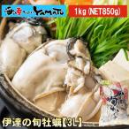 超特大3L！伊達の