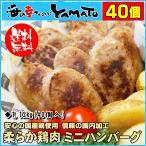 ハンバーグ やわらか鶏肉ハンバーグミニ 1.12kg 40個入り 肉 鶏肉 惣菜 お弁当 冷凍 国産 国産鶏肉  国内加工