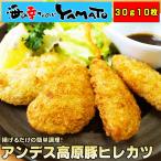 ヒレカツ 30g x 10枚セット 冷凍食品 惣菜 おかず おつまみ はむ かつ 弁当 アンデス高原豚