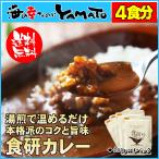 食研カレー　4食セット (200g x 4パッ