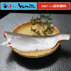 天然 紅鮭フィレ 大型1kg(半身) サケ さけ おかず お弁当 おつまみ お歳暮 お年賀 贈答 ギフト プレゼント