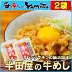 牛めし 200g×2袋 半田屋 ご飯 米 惣菜 冷凍食品