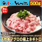 天然本マグロの極上ネギトロ 100g×5パック 500gセット 鮪 まぐろ 海鮮 寿司 敬老の日 残暑見舞い ギフト