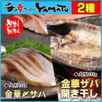 【クーポンで半額！】ブランド鯖金華サバの干物&〆鯖のセット！ サバ さば 金華サバ 買いまわり ポイント消化 鯖 さば サバ 干物 ひもの