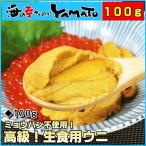 うに ウニ 天然生ウニ 100g 冷凍食品 