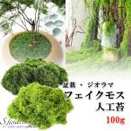 S.fields.inc正規直営店 人工苔 100g 盆