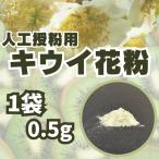 キウイ花粉0.5g