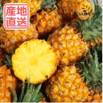 台灣金鑽鳳梨｜金鑚パイン｜台湾パイナップル｜PINEAPPLE｜5kg｜予約販売中