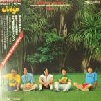 52010 チューリップ/ SOMEDAY SOMEWHERE 一部盤やけ 