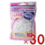 デンタルプロ フレッシュ フロスピック 100本 FRESH フロス ピック 30個