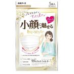 白元アース マスク ビ�