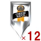 ハインツ チーズソース レッドチェダー 300g HEINZ チーズ ソース 12個