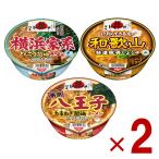 日清 麺NIPPON 3種 アソート セット　日清 麺NIPPON 3種 アソート セット 八王 和歌山 横浜 非常食 保存食 仕送り 2個