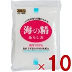 塩 粗塩 あら塩 海の精 あらしお 500g 10個