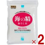 塩 粗塩 あら塩 海の精 あらしお 500g 2個