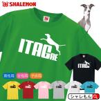 イタグレ アニマル ( 選べる８色 Tシャツ イタリアン・グレイハウンド ジャンプ ) Tシャツ メンズ レディース / P6
